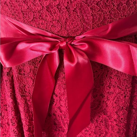 NWT Adrianna Papell Crimson V Neck Lace Dress with Satin Belt - Picture 6 of 6